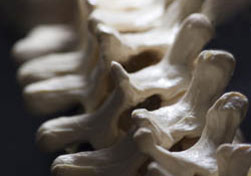 Expert Sports Medicine Chiropractor in Costa Mesa & Newport Beach