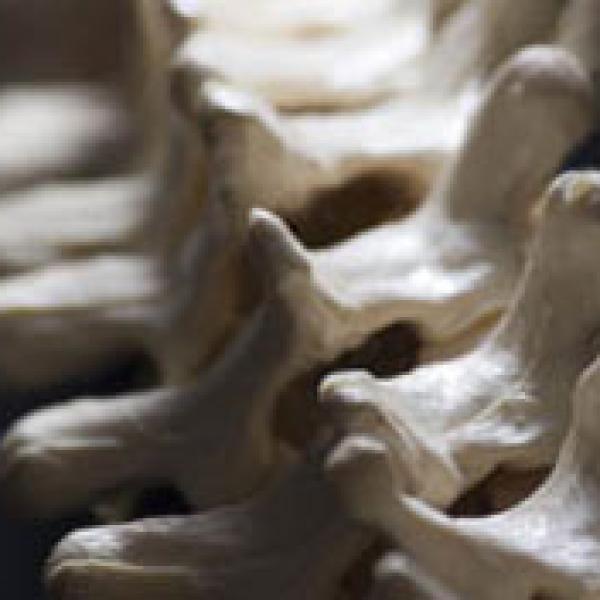 Expert Sports Medicine Chiropractor in Costa Mesa & Newport Beach